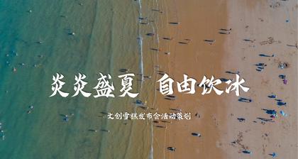夏季趣味文旅新品发布会活动策划方案